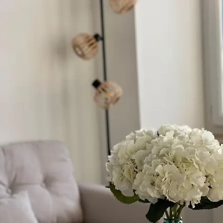 Maison Pour 10 Personnes Max En Plein Centre De Ste Mere Eglise