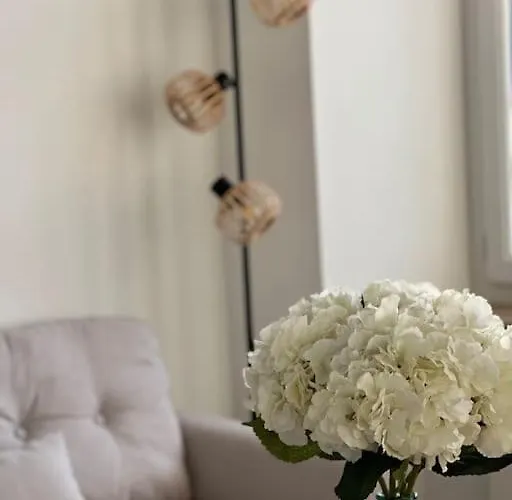 Maison Pour 10 Personnes Max En Plein Centre De Ste Mere Eglise